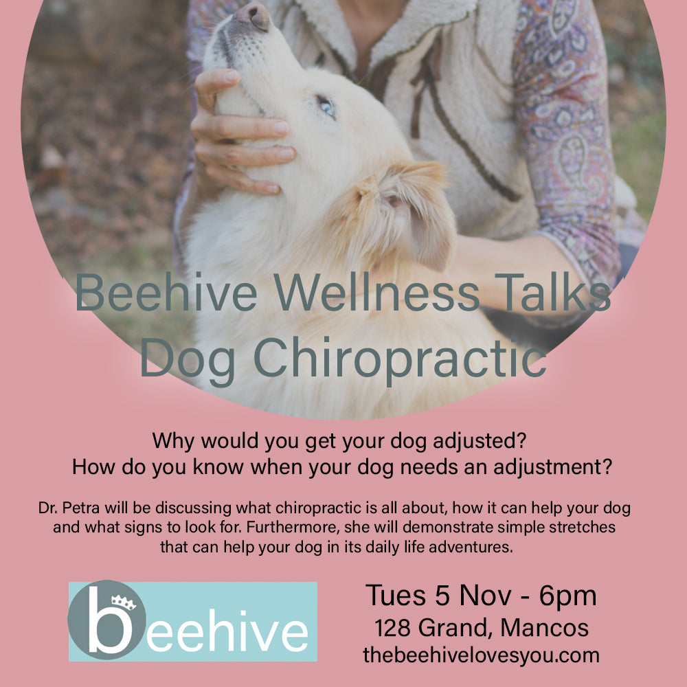 Dog Chiropractic - #Beehive Wellness Talks